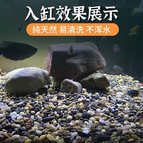 魚缸石頭種類|10種常用造景石種類大全，看完馬上去開缸